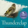 Thunderclap
