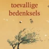Toevallige bedenksels