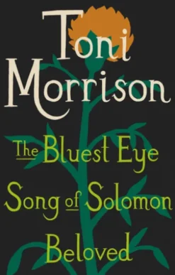Toni Morrison Box Set
