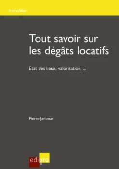 Tout savoir sur les dégâts locatifs