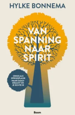Van spanning naar spirit