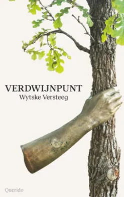 Verdwijnpunt