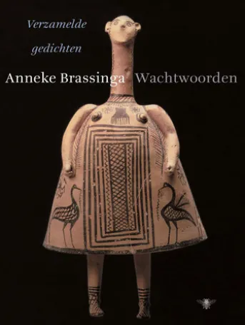 Wachtwoorden