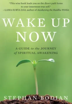 Wake Up Now