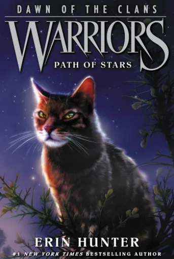 Warriors: Dawn of the Clans #6: Path of Stars