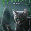Warriors: A Starless Clan #3: Shadow