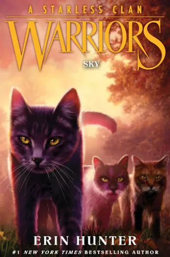 Warriors: A Starless Clan #2: Sky