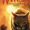 Warriors: A Vision of Shadows #1: The Apprentice's Quest