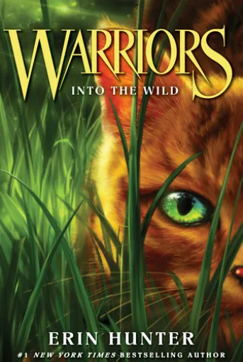 Warriors #1: Into the Wild