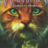 Warriors: The Broken Code #4: Darkness Within