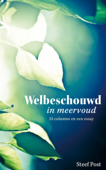 Welbeschouwd in meervoud