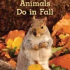 What Animals Do in Fall