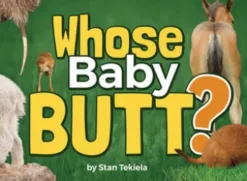 Whose Baby Butt?