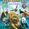 Wild Born (Spirit Animals, Book 1)