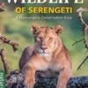 Wildlife of Serengeti & Ngorongoro Conservation Area