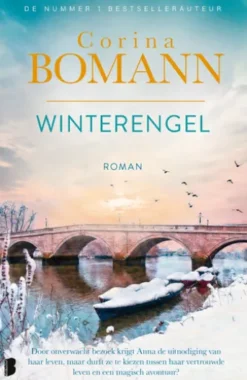 Winterengel