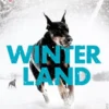 Winterland