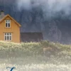 Zomerregen